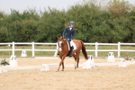 SBM_00732
