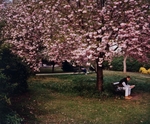 Reading in the Park, London, 1997