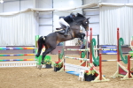 SBM_003731