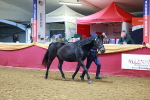 SBM_16011