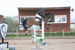 Cls 29 Young Horse 6yr old portfolio