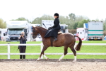 SBM_03328