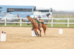 SBM_004317