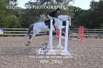 BPP_2460