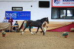 SBM_16163