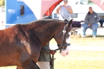 SBM_10755