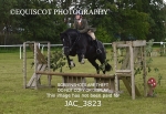 JAC_3823