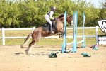 SBM_000772