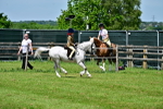 SBM_06088