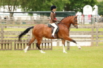 SBM_10447