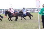 SBM_09964