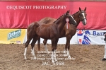 JAC_5958