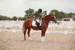 SBM_06109