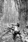 Patagonia 029