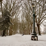 St George Park in the Winter 1