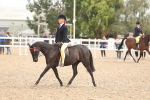 SBM_15992