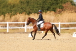 SBM_018502