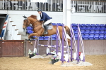 SBM_002781
