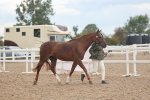 SBM_07858