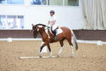 SBM_001775