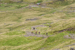 Borrowdale-1309