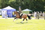 SBM_16352