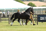 SBM_02091