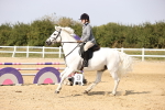 SBM_003154