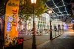 Retro Festival_Flower Market 2020-36