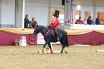SBM_09932