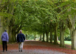 Clifton Walkers _B065