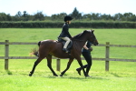 SBM_42537