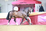 SBM_01165