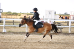SBM_006200