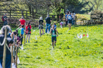 The Finish-482