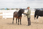 SBM_05021