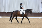 SBM_009232