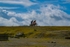 DSCF8850