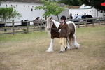 WJ6_8028