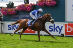 250823-Race 1-Marhaba The Champ-0139