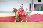 SBM_13572