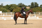SBM_002911