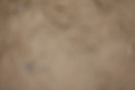20260913-0482