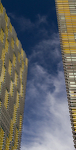 Yellow towers