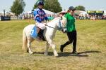 SBM_16564