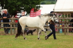 SBM_04094