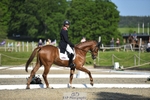 301-JET_FIGHTER-Harry_Meade-WEDTrotUp+DR portfolio
