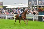 230923-Race 2-Palamon-6050