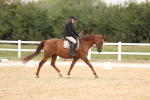 SBM_00534