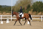 SBM_013501